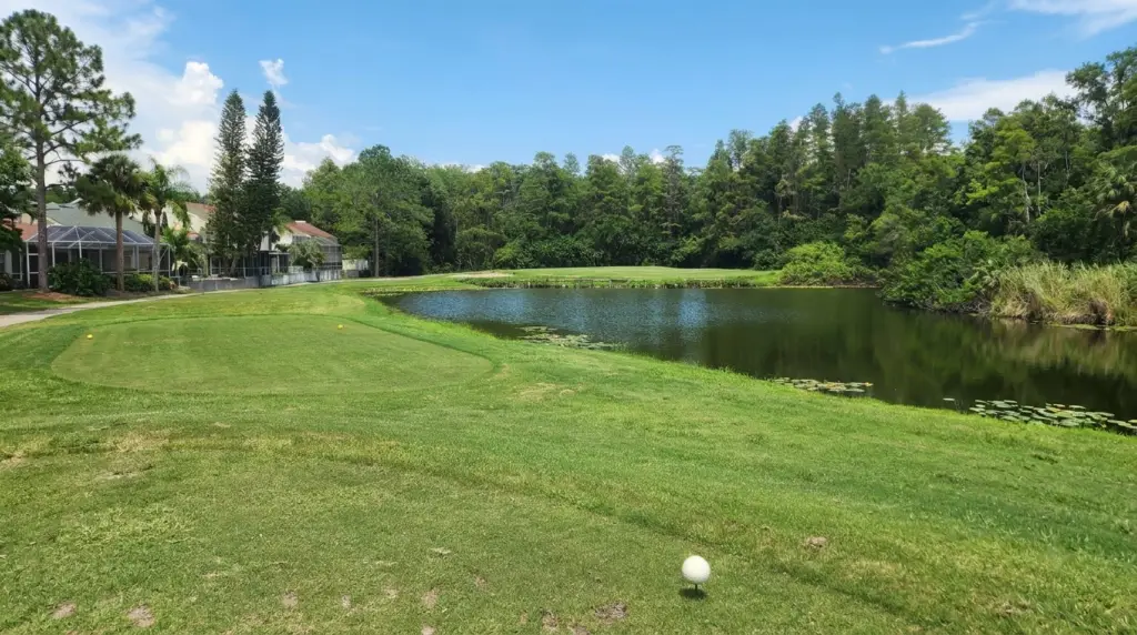 Current image: Golf courses in Tampa: Northdale Golf & Tennis Club course