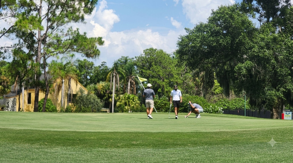Current image: Golf for seniors in Tampa at Northdale Golf & Tennis Club